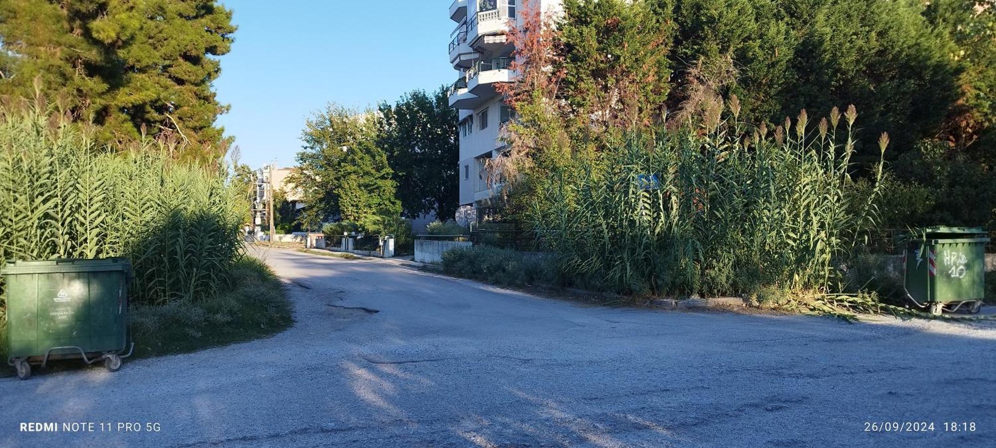 Elena'S Apartment Αγία Τριάδα Εξωτερικό φωτογραφία